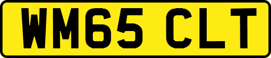 WM65CLT