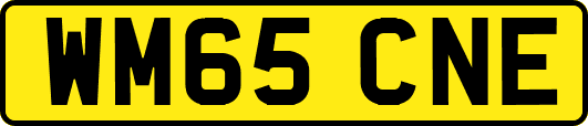 WM65CNE
