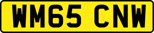 WM65CNW