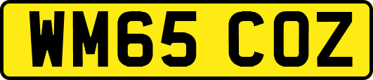 WM65COZ