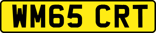 WM65CRT