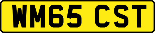 WM65CST