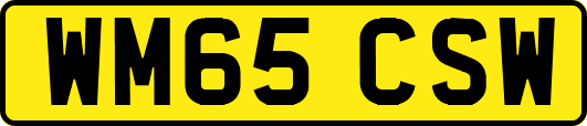 WM65CSW