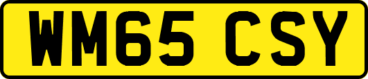 WM65CSY