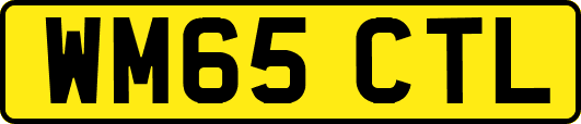 WM65CTL