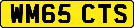 WM65CTS