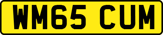 WM65CUM