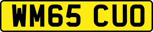 WM65CUO