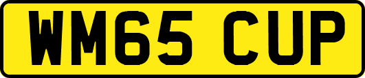 WM65CUP