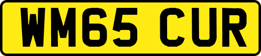 WM65CUR