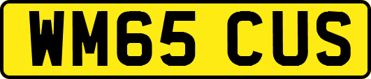 WM65CUS
