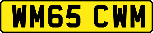 WM65CWM