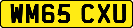 WM65CXU