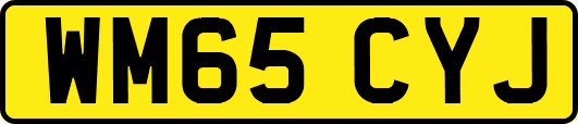 WM65CYJ