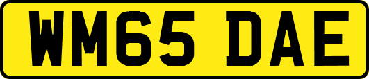 WM65DAE