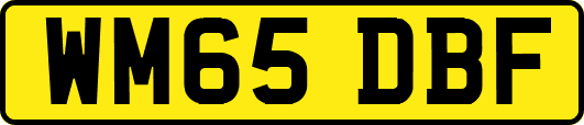 WM65DBF