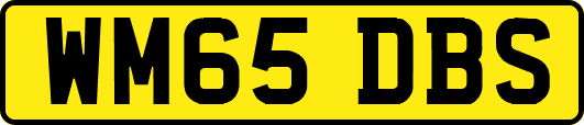 WM65DBS