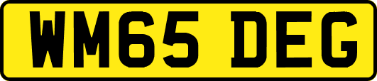 WM65DEG