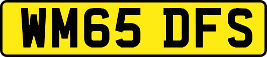 WM65DFS