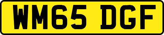 WM65DGF