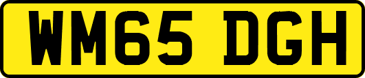 WM65DGH