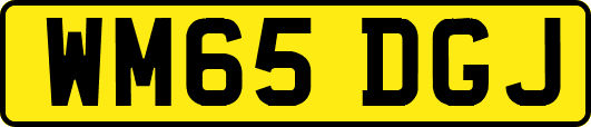 WM65DGJ
