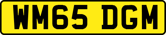 WM65DGM