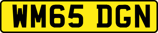 WM65DGN