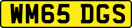 WM65DGS