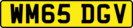 WM65DGV