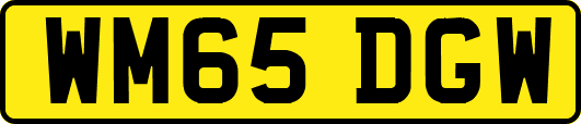 WM65DGW