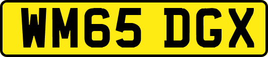 WM65DGX