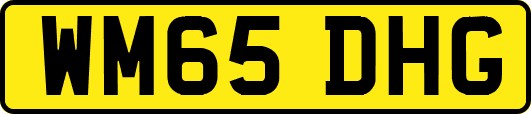 WM65DHG