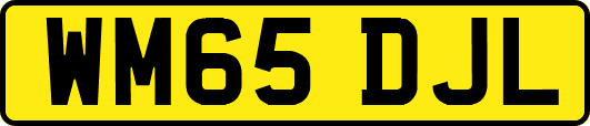 WM65DJL