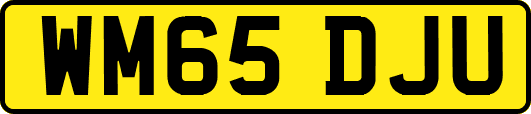 WM65DJU
