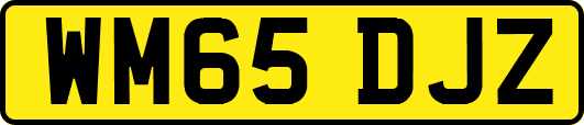 WM65DJZ
