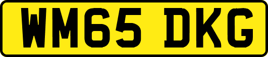 WM65DKG
