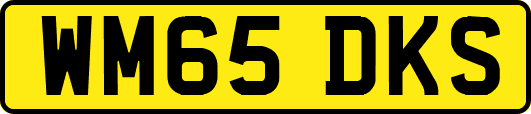 WM65DKS