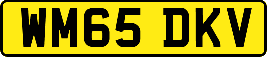 WM65DKV