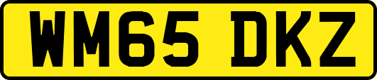 WM65DKZ
