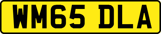 WM65DLA