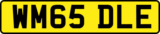 WM65DLE