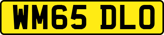 WM65DLO