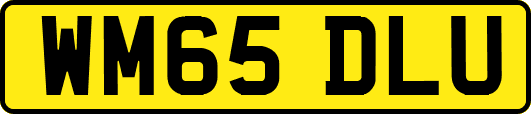 WM65DLU