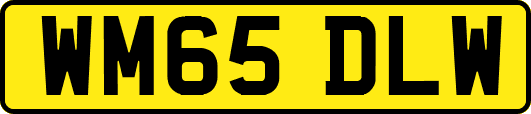 WM65DLW