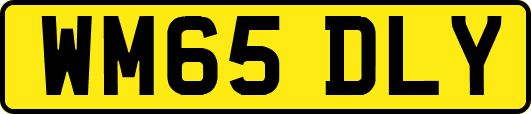 WM65DLY