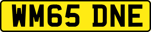 WM65DNE