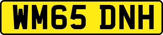 WM65DNH