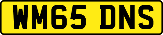WM65DNS