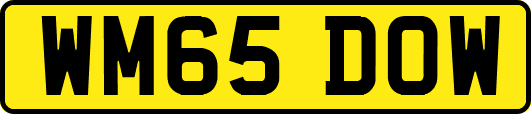 WM65DOW